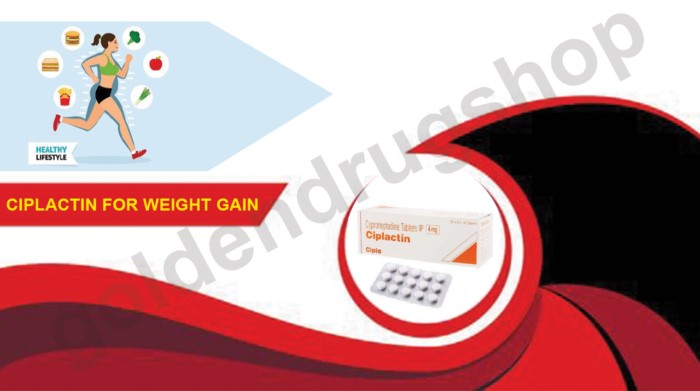 Ciplactin For Weight Gain| Ciplactin For Sale| Price In USA| Ciplactin Tablet
